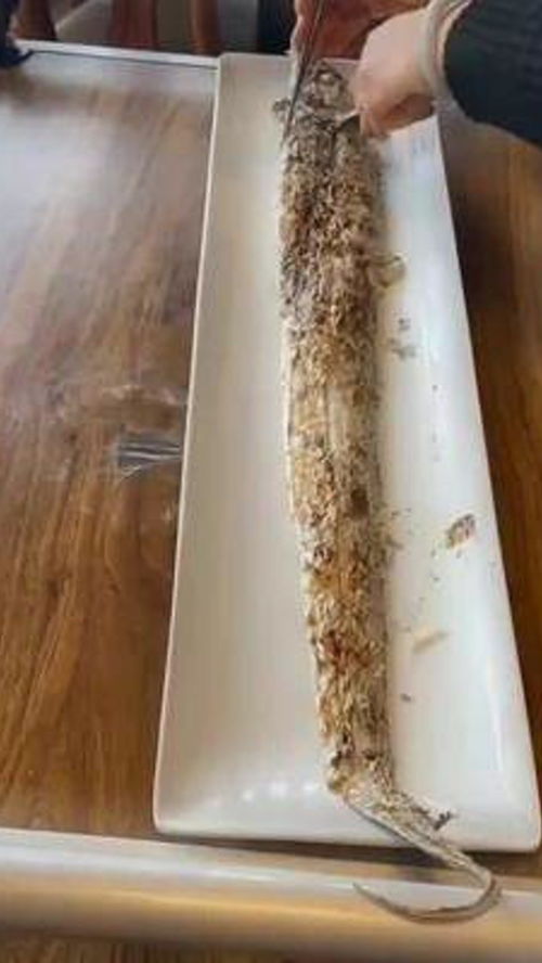 傳統手工藝品,影視道具,鑒賞